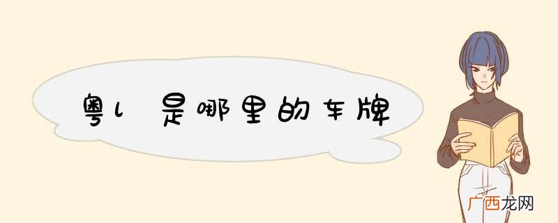 粤l是哪里的车牌