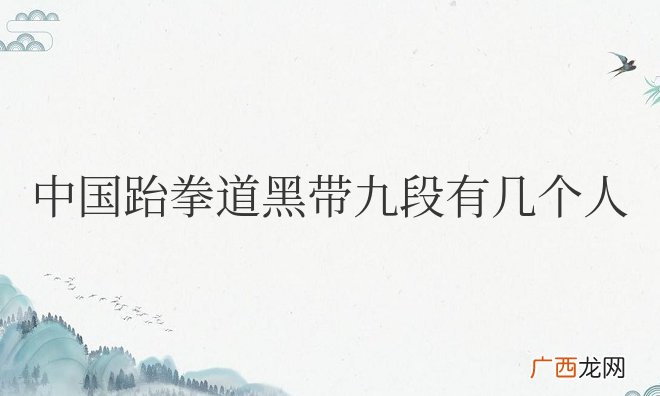 中国跆拳道黑带九段有几个人