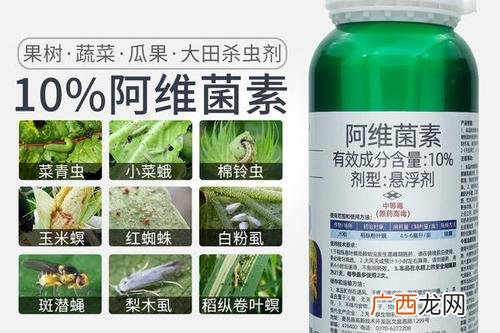 阿维菌素有哪些适应症 阿维菌素使用注意事项