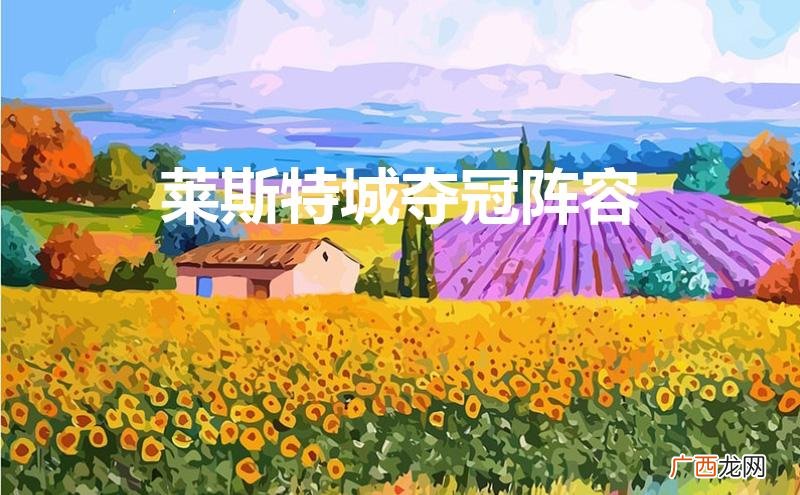 2016莱斯特城夺冠阵容 莱斯特城夺冠阵容