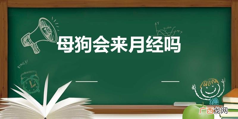 女狗狗会来月经吗 母狗会来月经吗