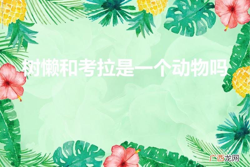 树懒跟考拉是一回事吗 树懒和考拉是一个动物吗