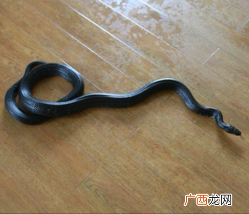 孕妇梦见黑蛇是什么意思