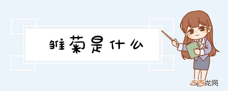 雏菊是什么