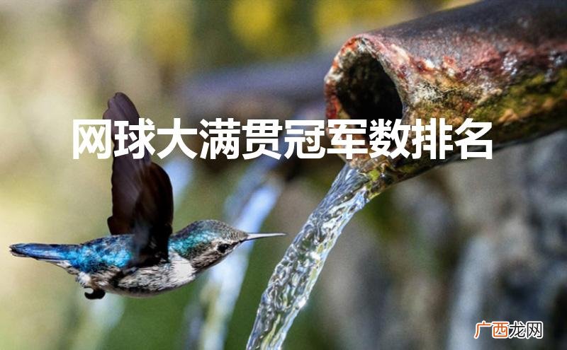 网球大满贯冠军数排名男子 网球大满贯冠军数排名