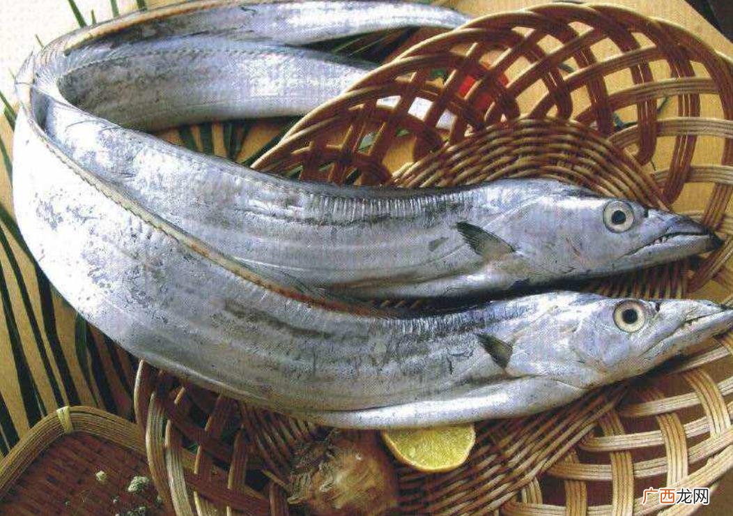 好吃又不贵的4种深海鱼 食用深海鱼品种及图片
