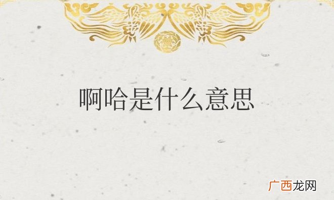 表示出一种非常难以理解惊讶的状态 女生说啊哈是什么意思