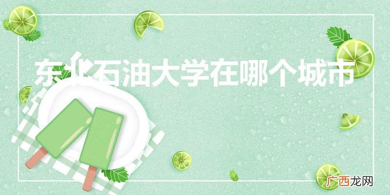 东北石油大学在哪里个城市 东北石油大学在哪个城市