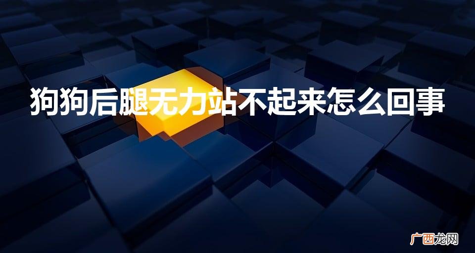 狗后腿站不起来，为何？ 狗狗后腿无力站不起来怎么回事