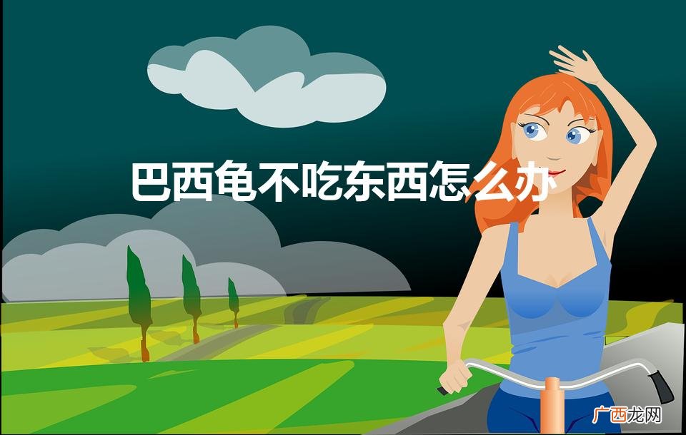 是什么原因导致它不吃东西的 巴西龟不吃东西怎么办