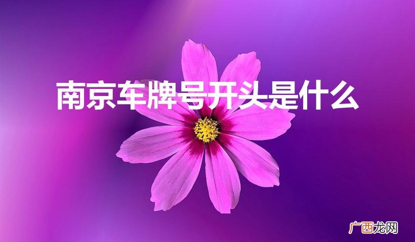南京车牌号首个字母含义 南京车牌号开头是什么