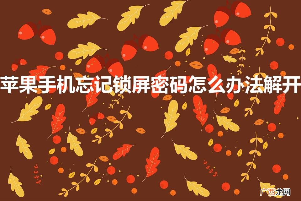 苹果手机忘记锁屏密码怎么办法解开