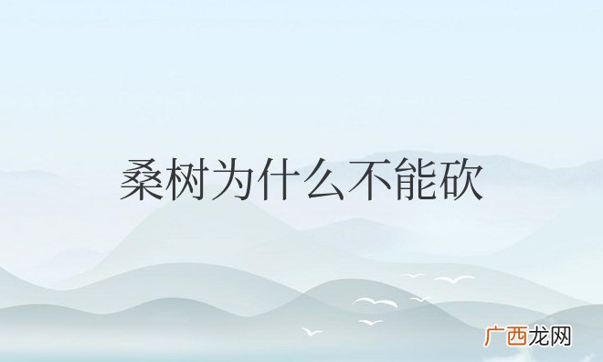 桑树是吉树还是凶树 桑树为什么不能砍