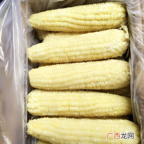 玉米棒可以冷冻保存吗