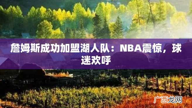 詹姆斯成功加盟湖人队：NBA震惊，球迷欢呼