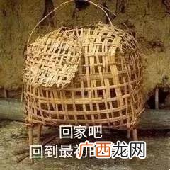 鸡笼警告