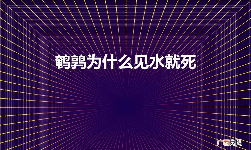 鹌鹑沾水为何容易死,附鹌鹑养殖风险 鹌鹑为什么见水就死
