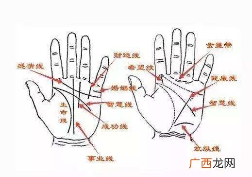 手掌三条线分别是什么线 手掌线条代表什么意思