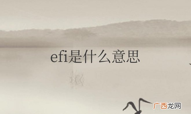 可扩展固件接口介绍 电脑efi是什么意思