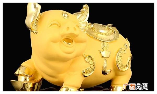超准 属猪人的婚姻与命运如何,好不好