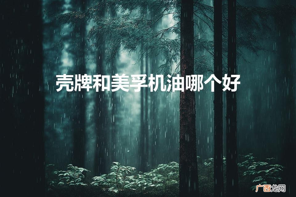 美孚和壳牌机油哪个好一点 壳牌和美孚机油哪个好