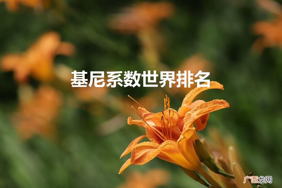 世界各国的基尼系数排名 基尼系数世界排名