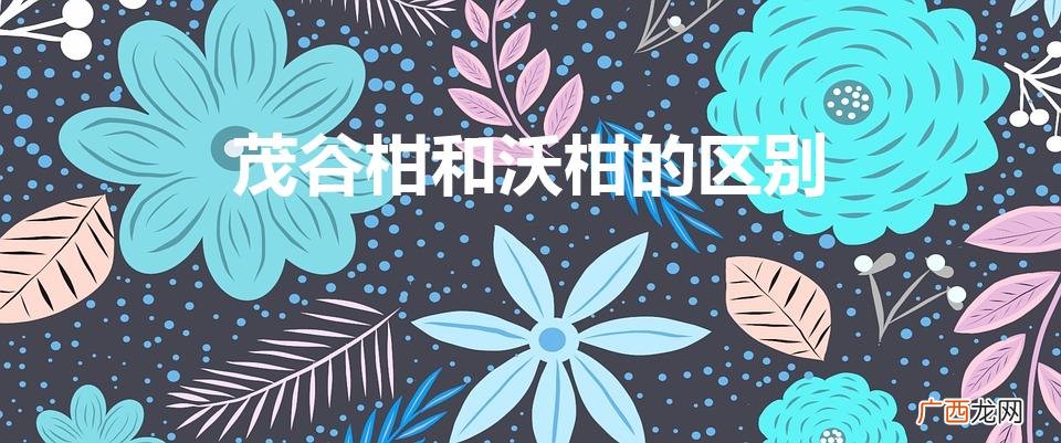茂谷柑与沃柑的差异 茂谷柑和沃柑的区别