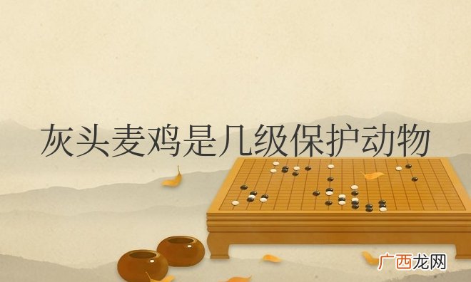 灰头麦鸡是几级保护动物