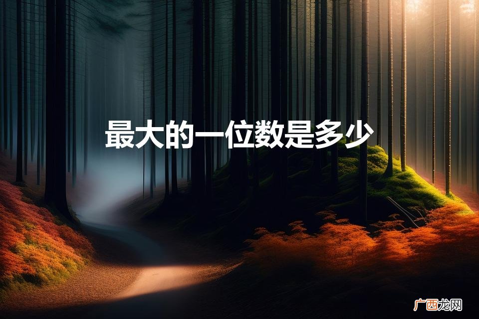 最大一位数是多少 最大的一位数是多少