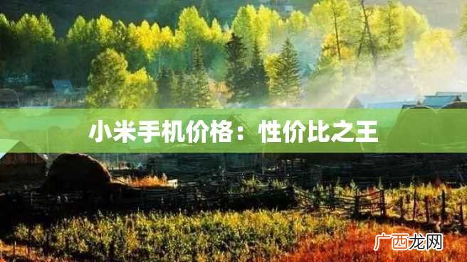 小米手机价格：性价比之王