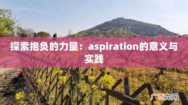探索抱负的力量：aspiration的意义与实践