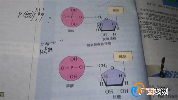 共价化合物定义 什么是共价化合物_酷知科普
