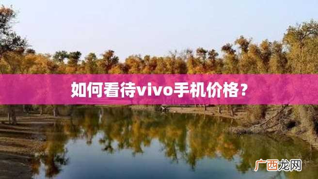如何看待vivo手机价格？