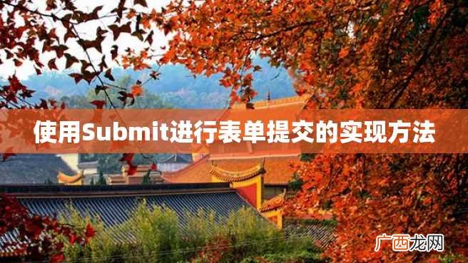 使用Submit进行表单提交的实现方法