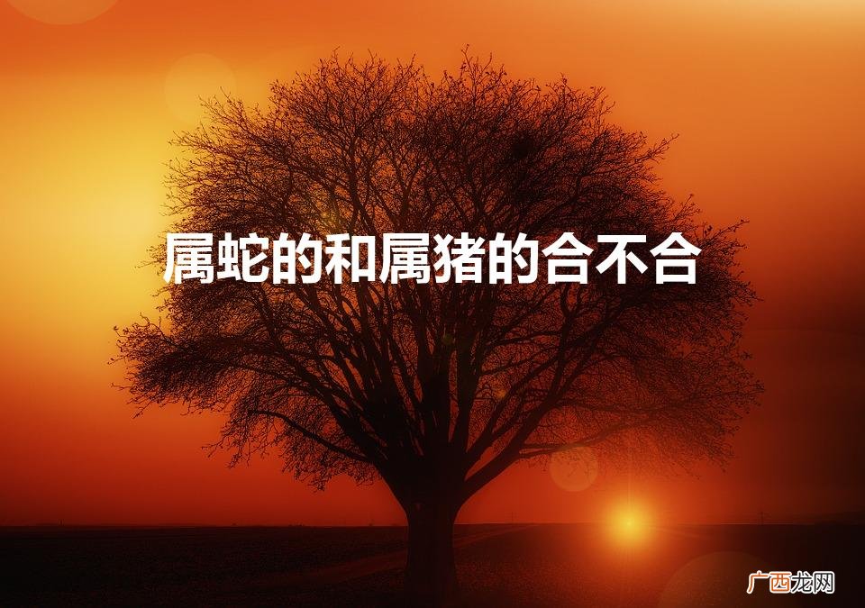 属猪和属蛇婚姻相配吗 属蛇的和属猪的合不合