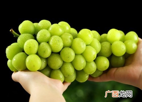 阳光玫瑰和晴王是一种葡萄吗 阳光玫瑰和晴王的区别