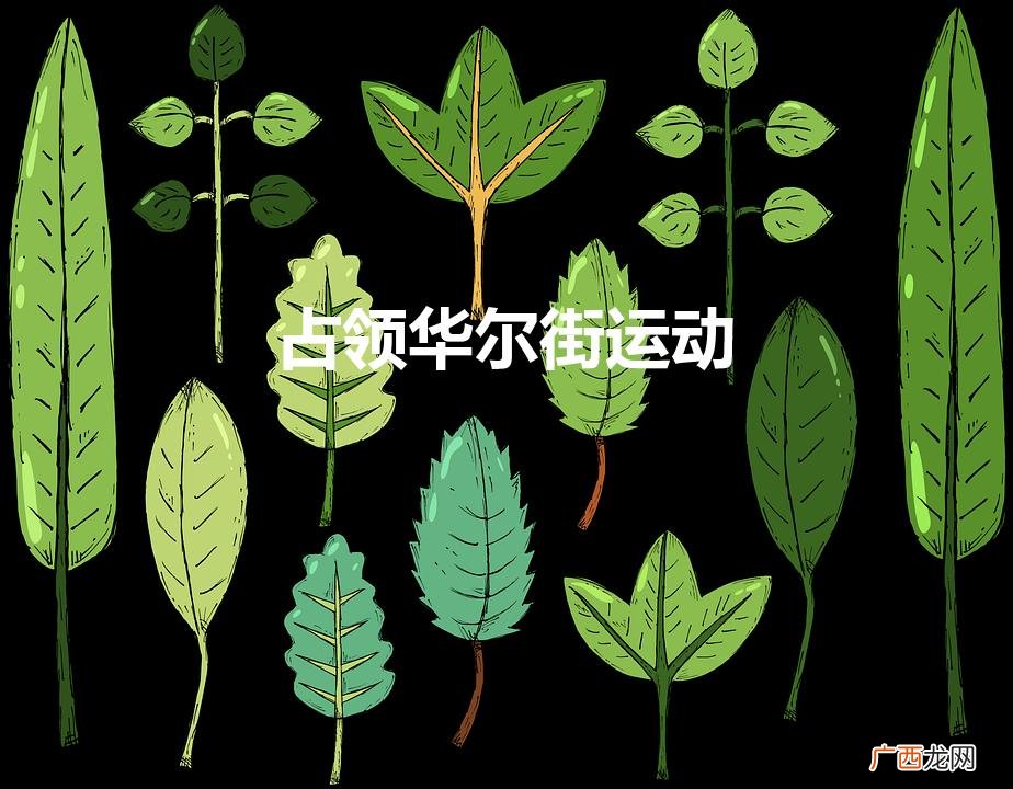 华尔街被占领 占领华尔街运动