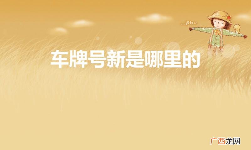 新是哪里的车牌 车牌号新是哪里的