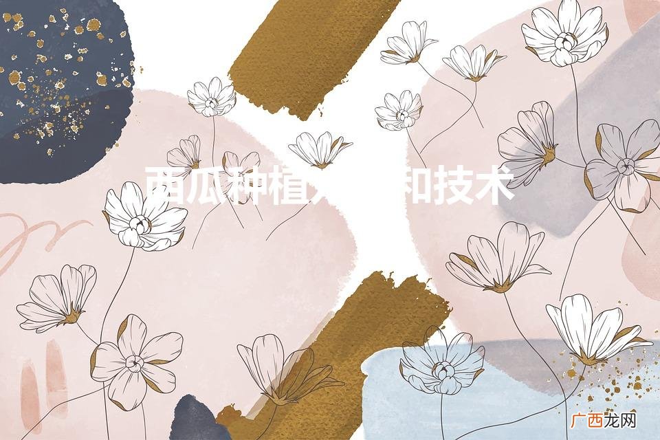 高效种植西瓜技巧 西瓜种植方法和技术
