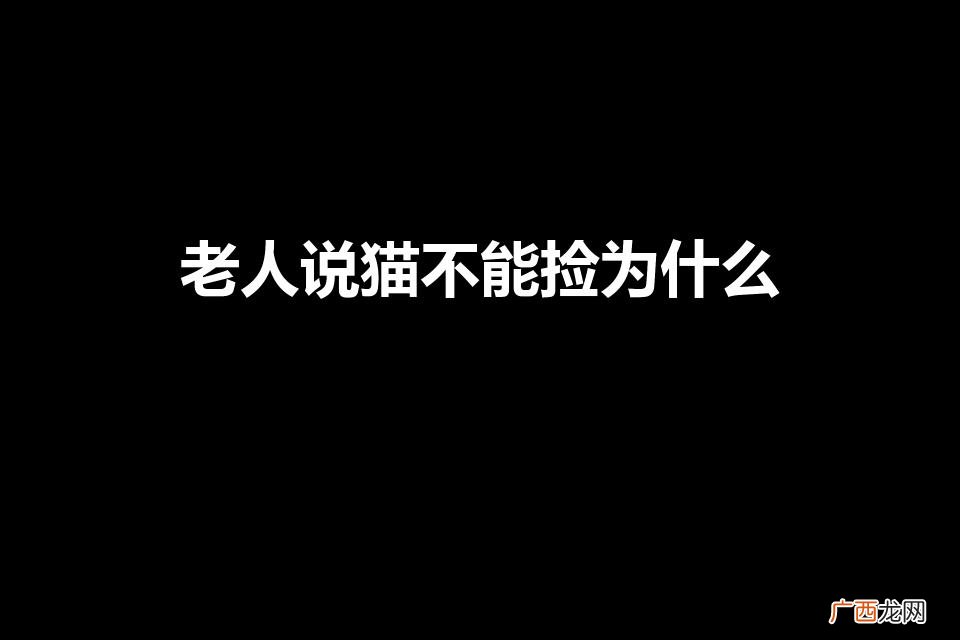 老人告诫：别捡猫！ 老人说猫不能捡为什么