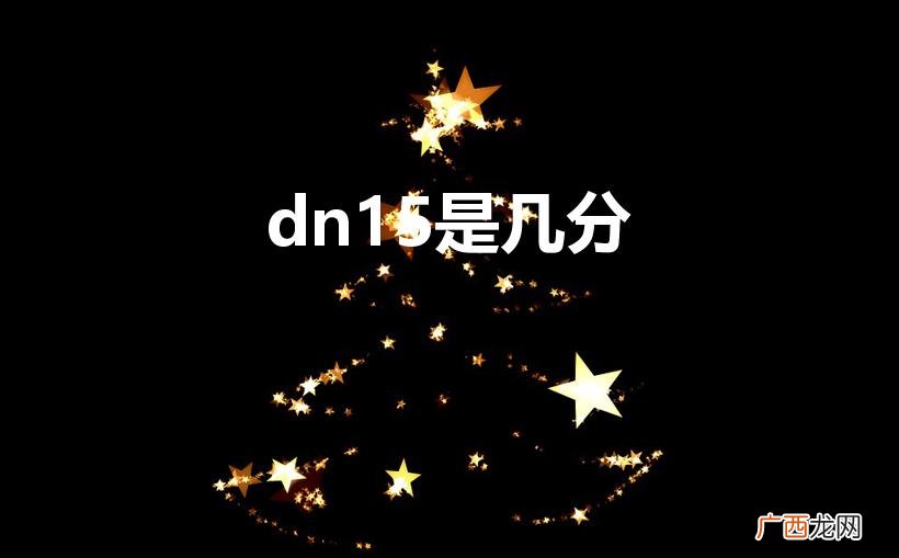 dn15是几分管径 dn15是几分