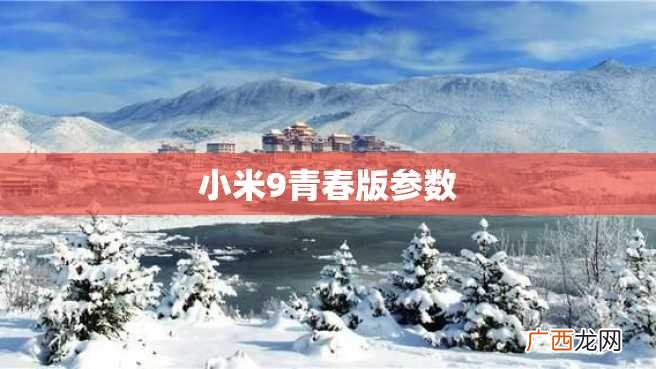 小米9青春版参数