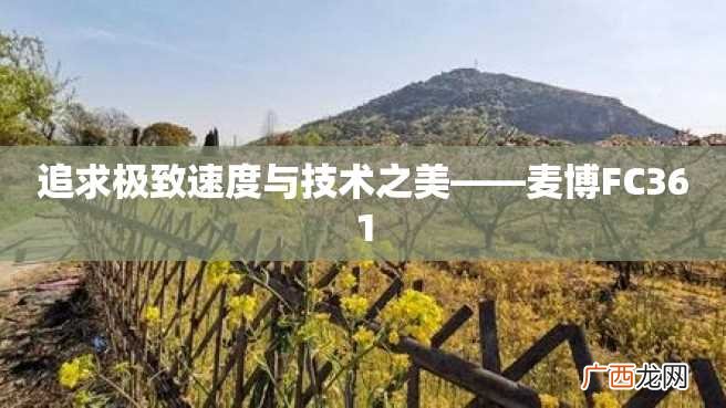 追求极致速度与技术之美——麦博FC361