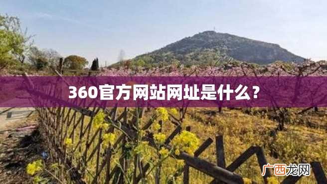 360官方网站网址是什么?