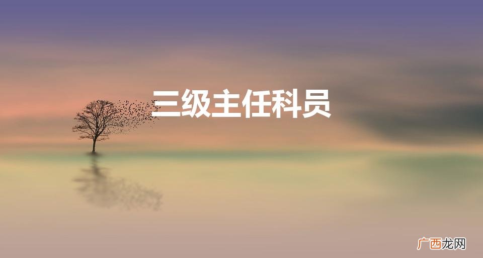 三级主任科员