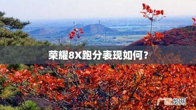 荣耀8X跑分表现如何？