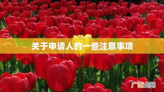 关于申请人的一些注意事项
