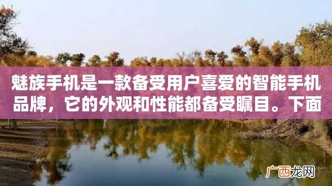 魅族手机是一款备受用户喜爱的智能手机品牌，它的外观和性能都备受瞩目。下面为大家整理了魅族手机大全图及型号，让大家更好地了解魅族手机的产品系列。