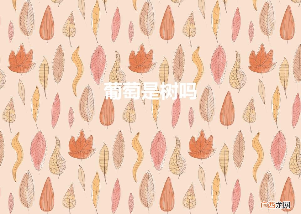 葡萄是植物吗？ 葡萄是树吗
