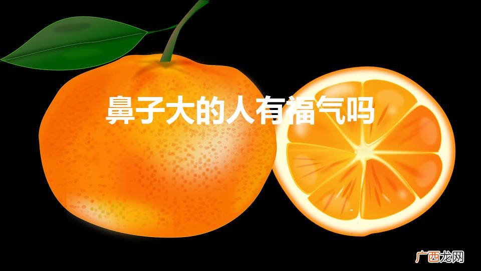 鼻子大的人有福气吗(鼻子大的人有福吗?)
